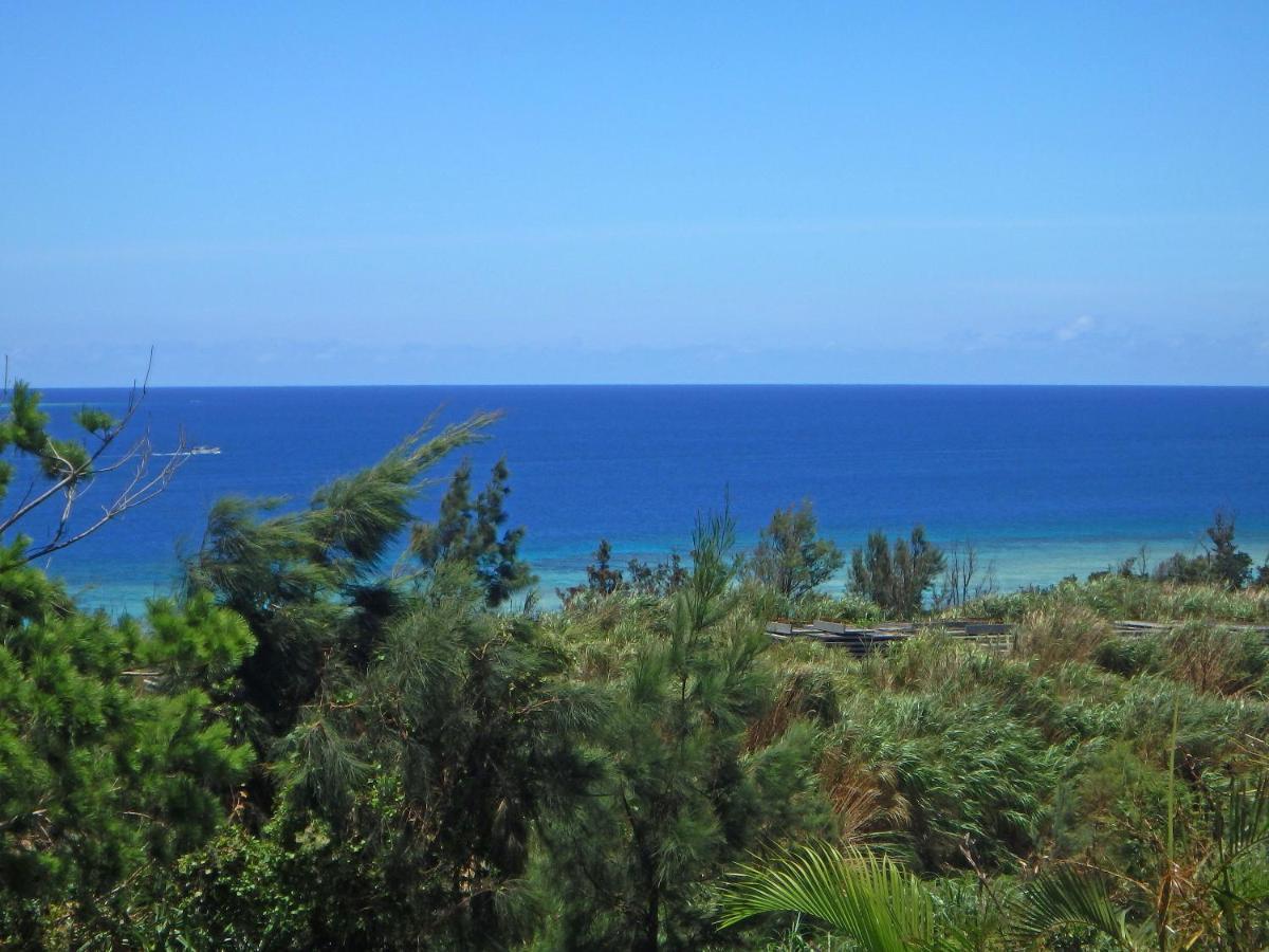 Private Vacation Villa Kohola Motobu Bagian luar foto